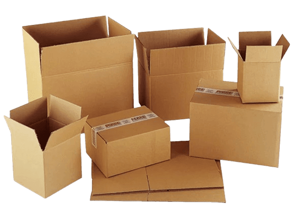 Custom-printed cardboard packing boxes shown as cut-out artwork